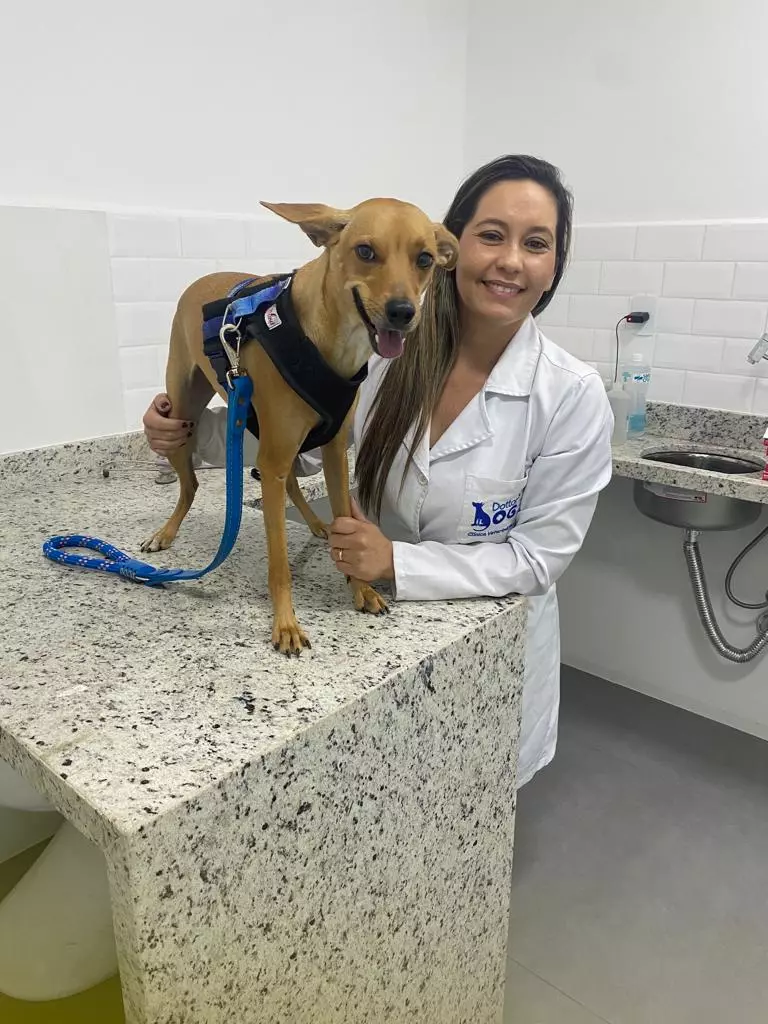 MEL, PET E CLIENTE DO PLANO DE SAÚDE DOTTOR DOG , PARABENIZA A DRA CRIS SANTATERRA PELO SEU ANIVERSÁRIO!